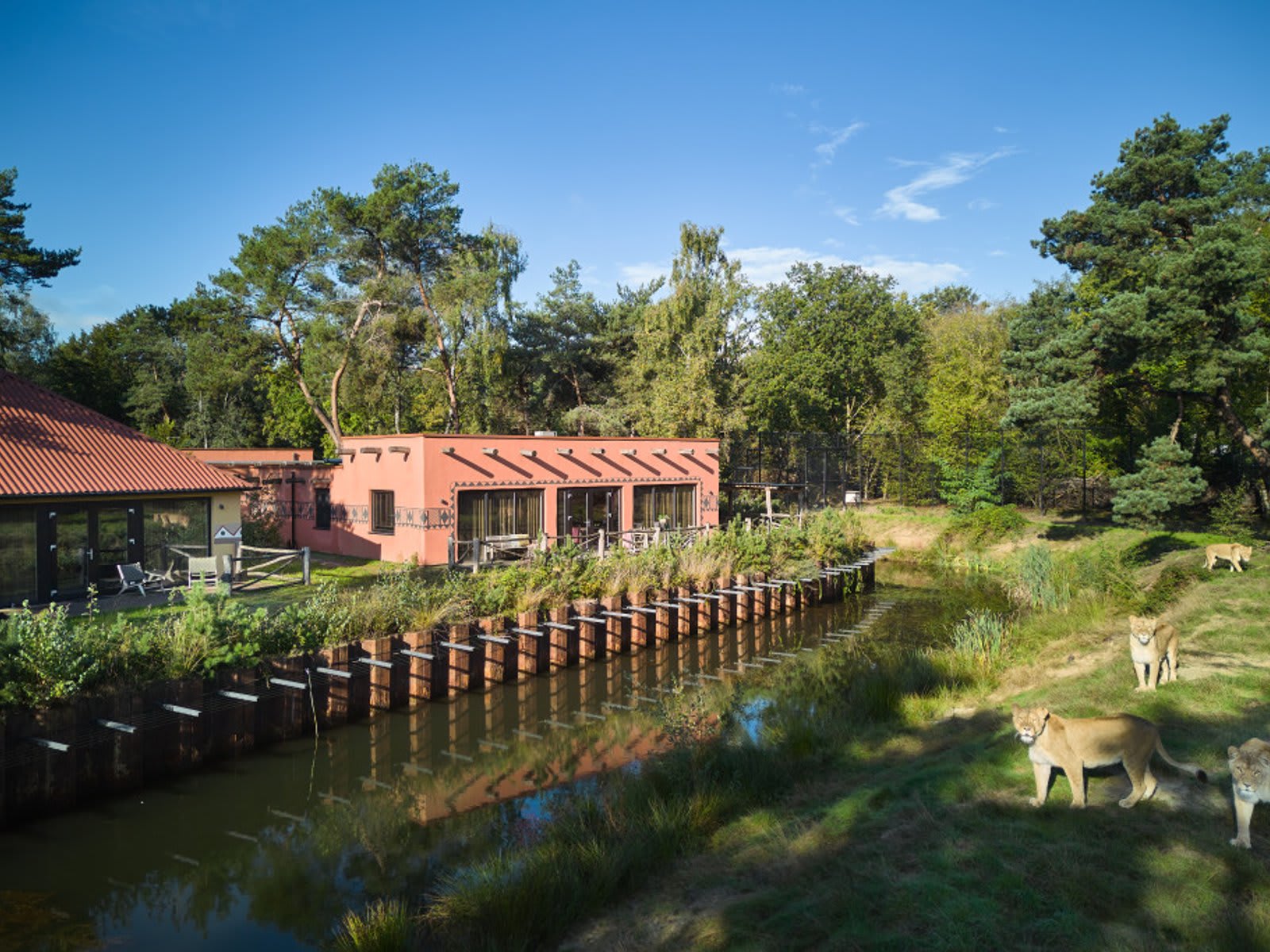 accommodatie-savanne-groepslodge-safari-resort