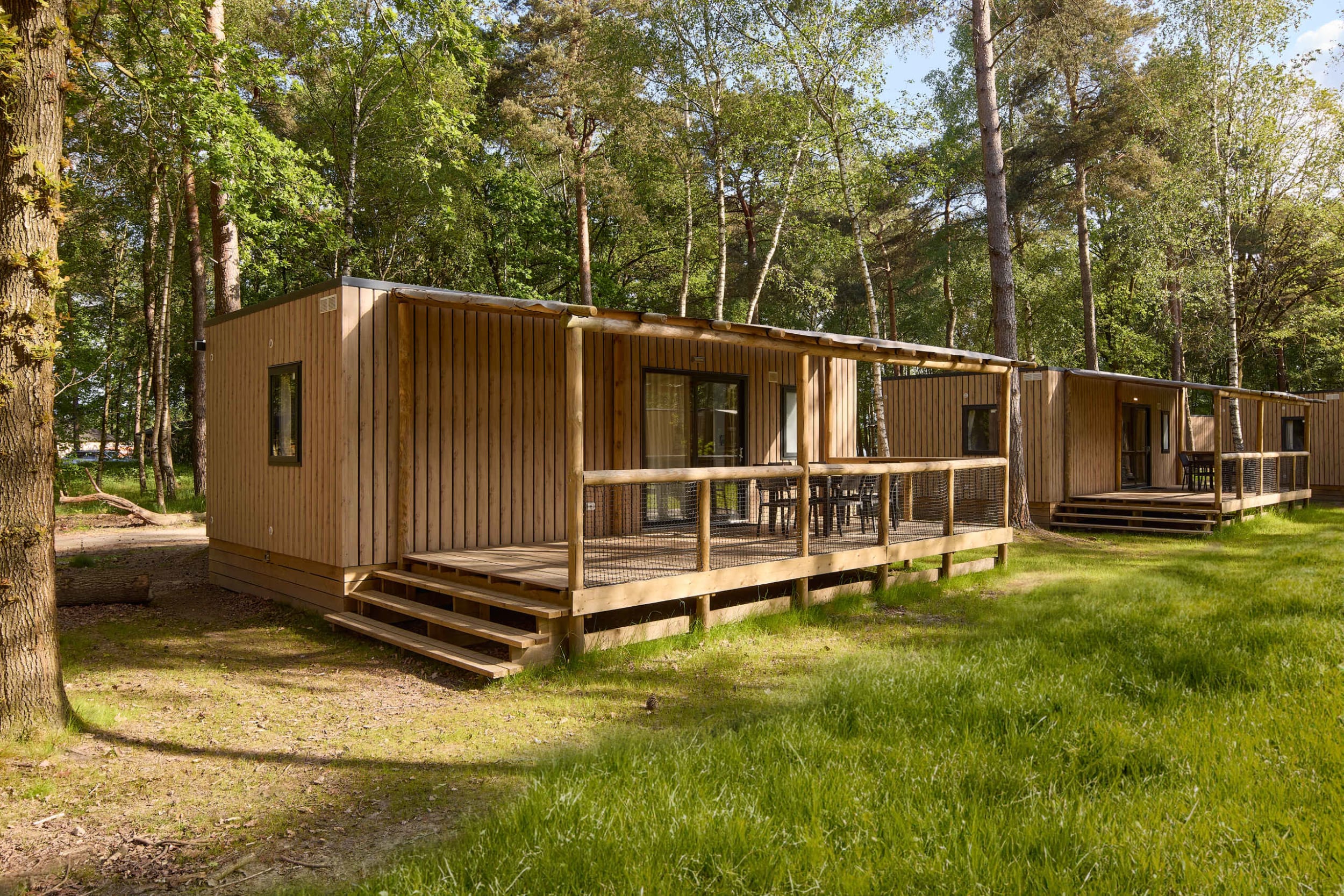 bos-vooraanzicht-forest-cabin-lake-resort-beek