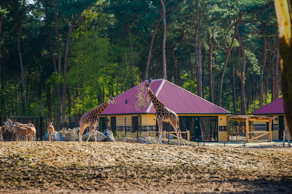 safari-resort-tessa-van-nuland-22